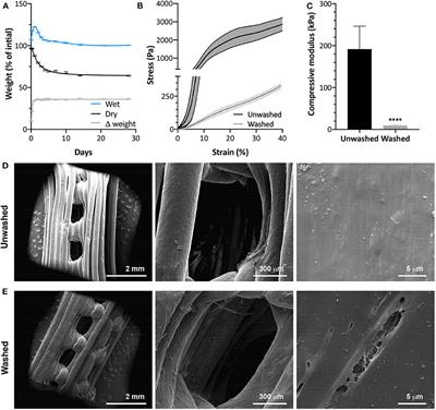 frontiersin defects scaffolds polyurethane